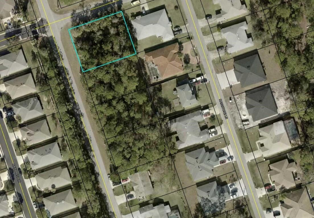 115 Rae Dr., Palm Coast, FL 32164