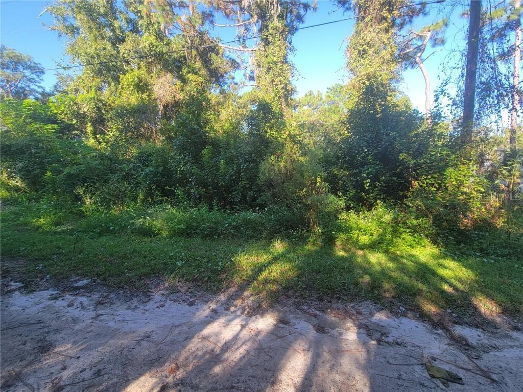 Naper St., New Port Richey, FL 34654