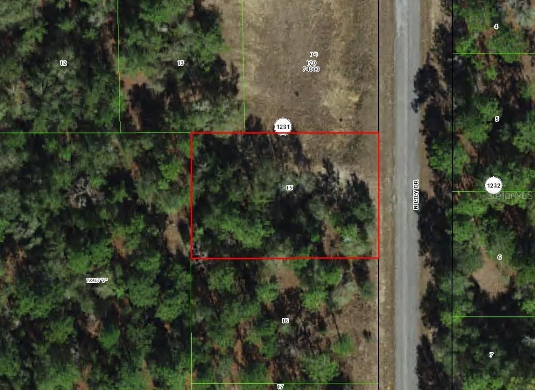 9592 N Lily Dr., Dunnellon, FL 34434