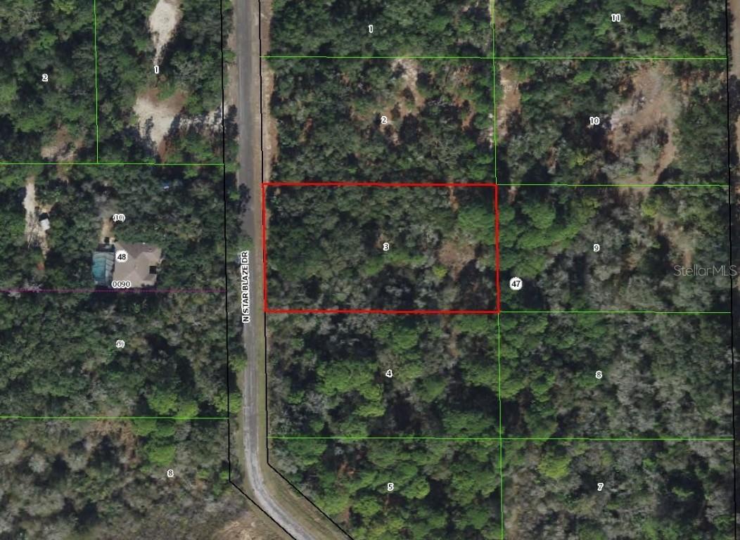 8473 N Star Blaze Dr., Crystal River, FL 34428