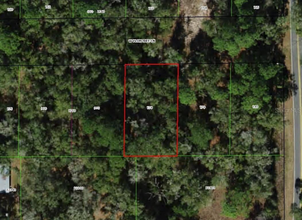 2548 W Plumtree Ln., Dunnellon, FL 34433
