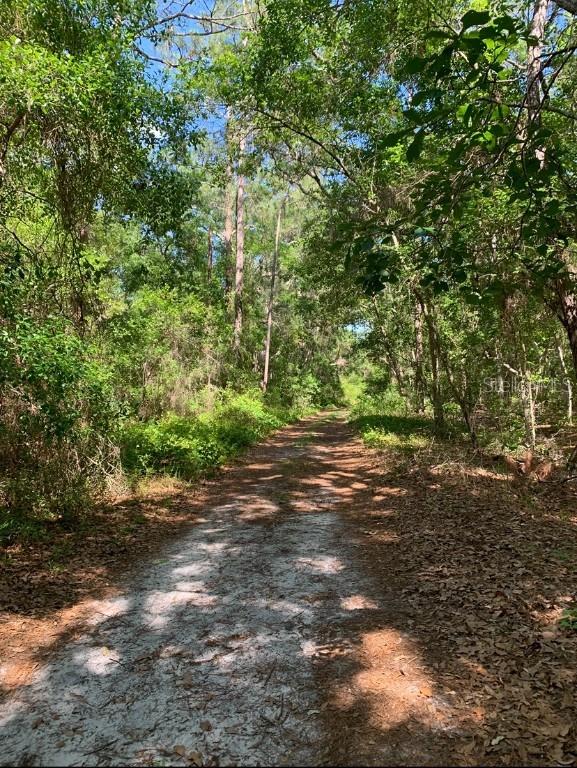 NE 226th St., Fort Mc Coy, FL 32134
