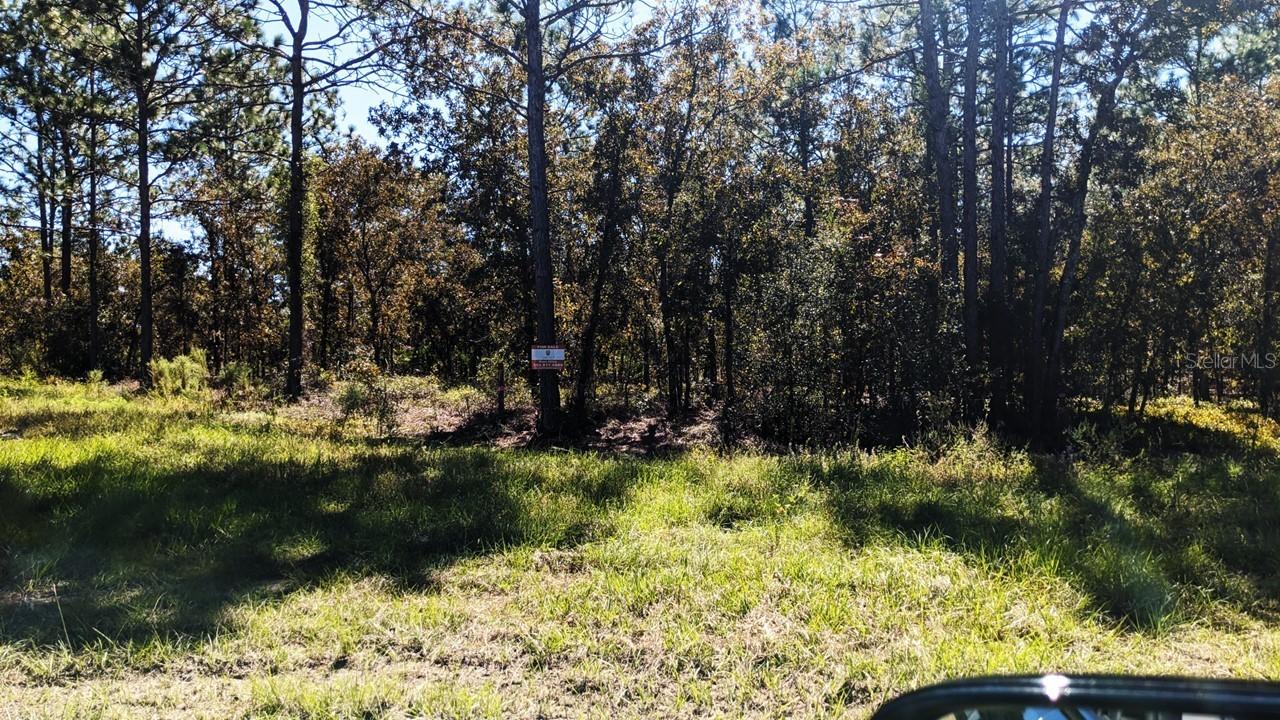 7781 SW 121st Terrace Rd., Dunnellon, FL 34432