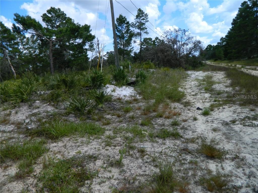 2220 N Altair Rd., Avon Park, FL 33825
