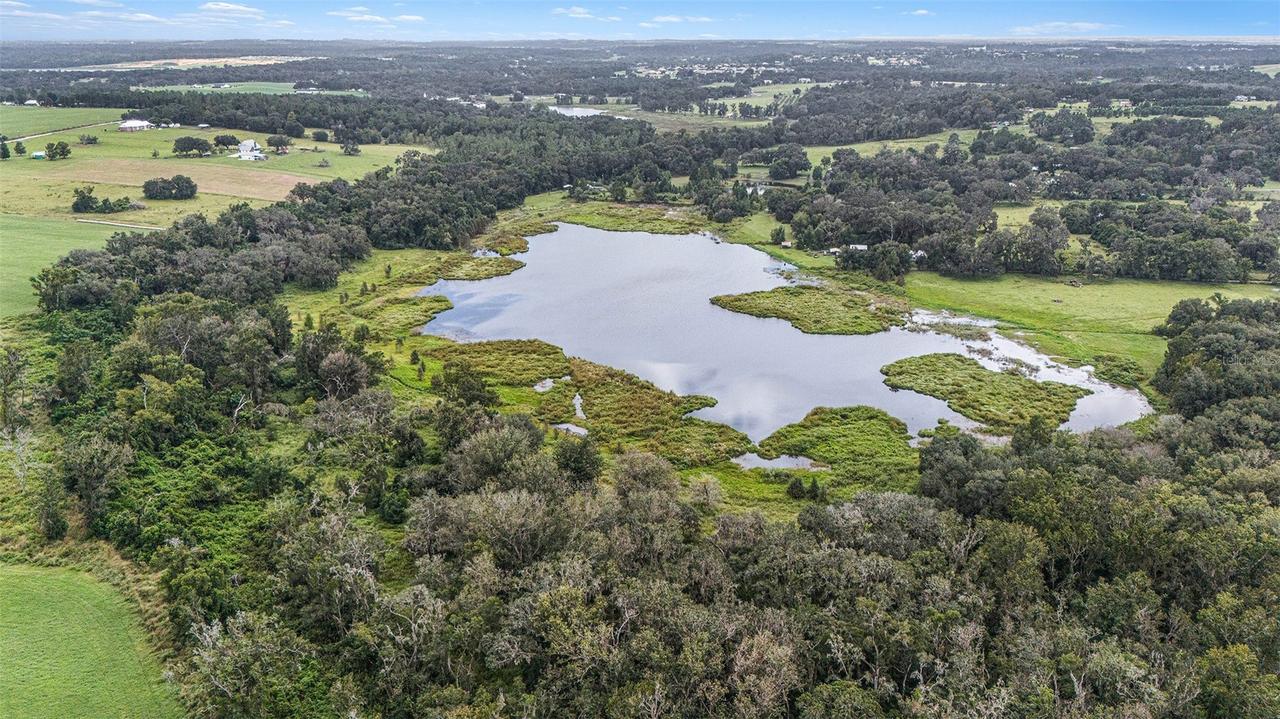 19-24-21-0000-00600-0010, Dade City, FL 33526