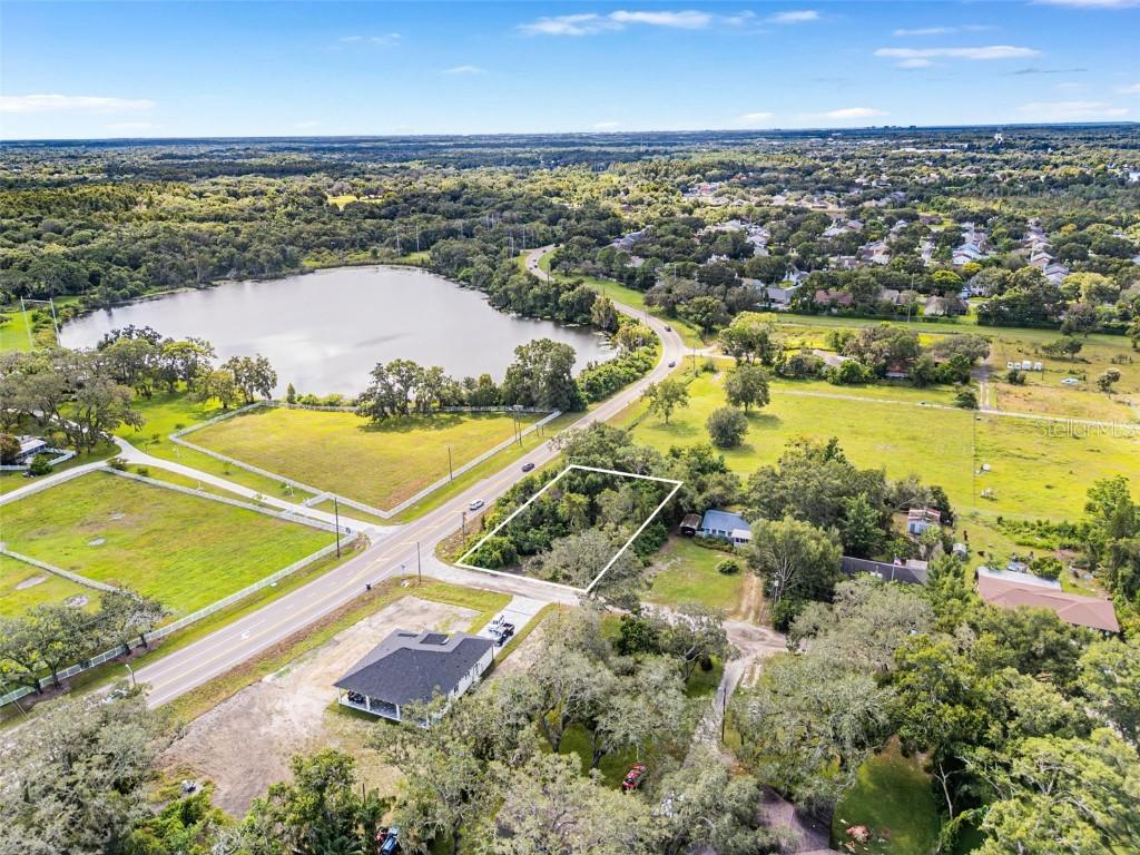 16713 Kodi Ln., Odessa, FL 33556