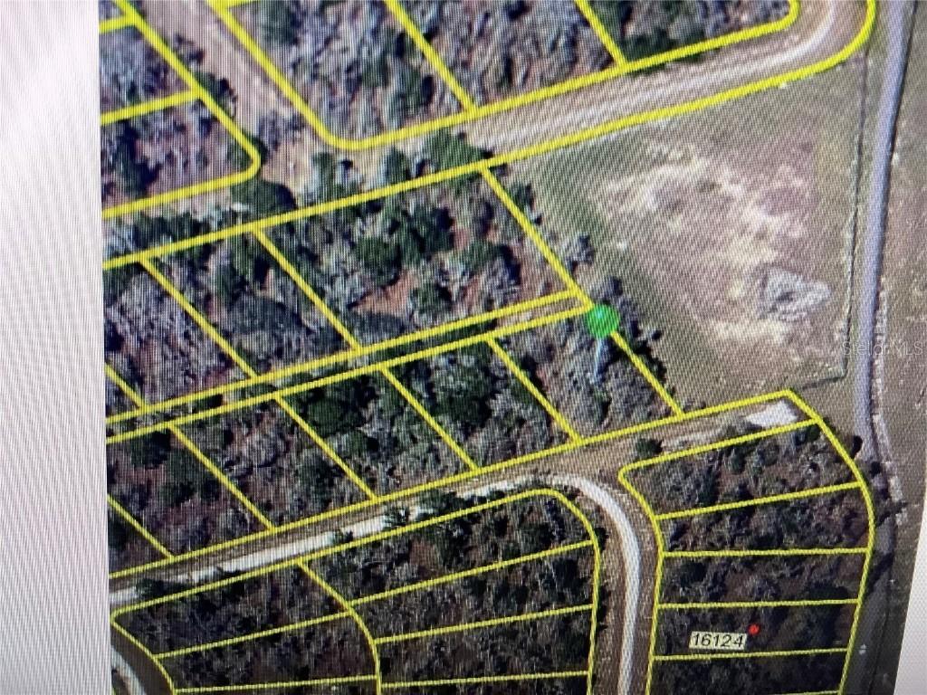 Sheldrake Loop, Brooksville, FL 34614