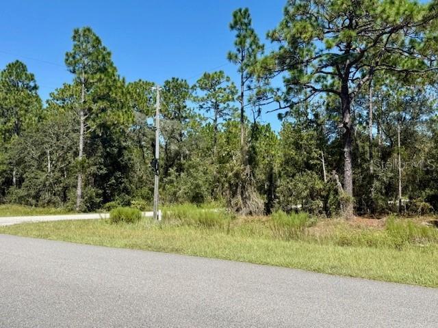 135 Ct., Dunnellon, FL 34431