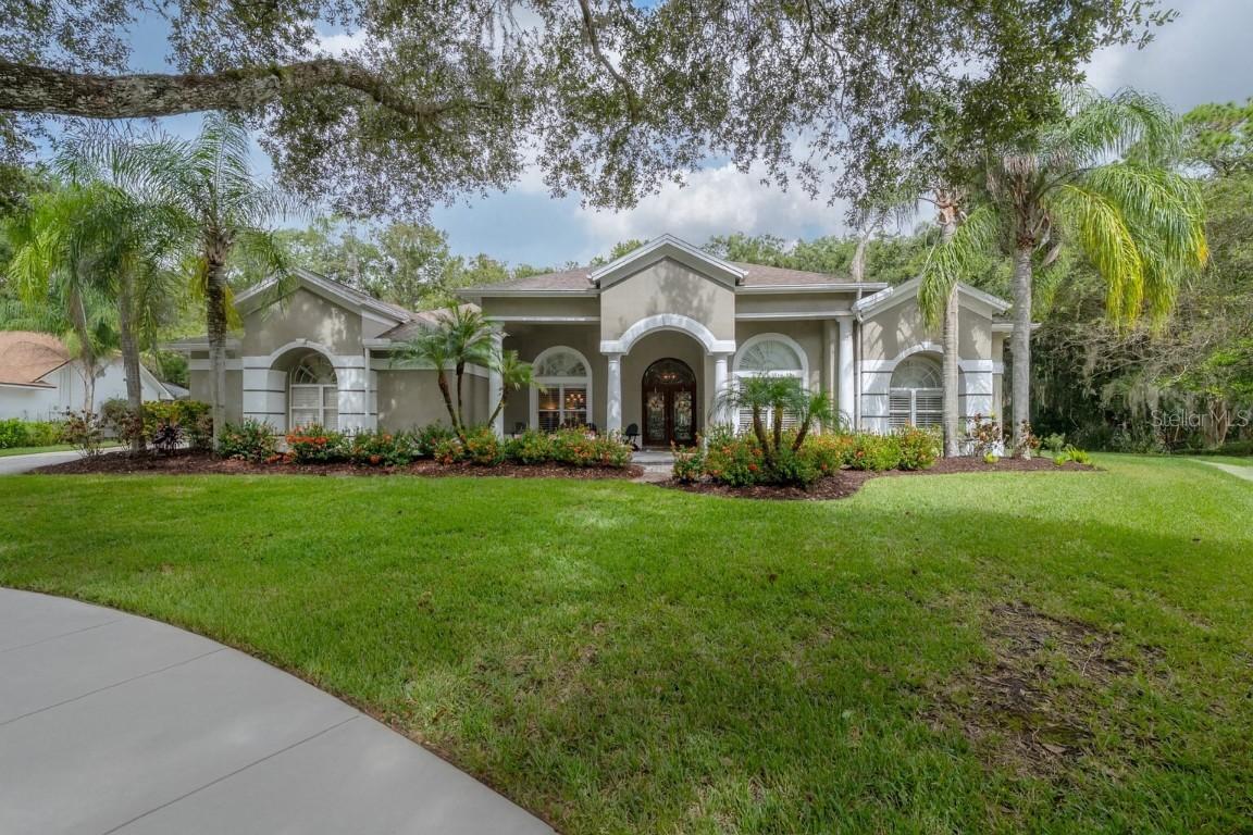 15801 Dawson Ridge Dr., Tampa, FL 33647