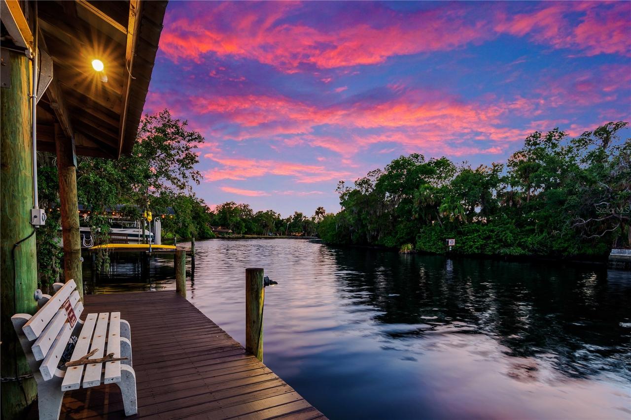 11526 River Country Dr., Riverview, FL 33569