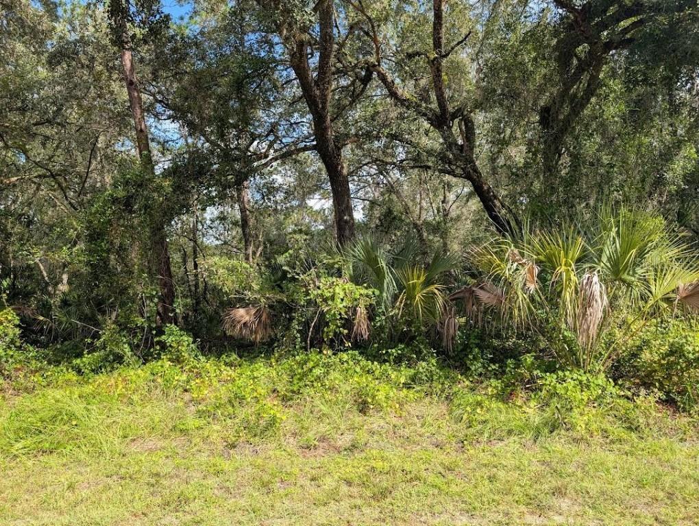 914 & 916 Poinciana Dr., Indian Lake Estates, FL 33855