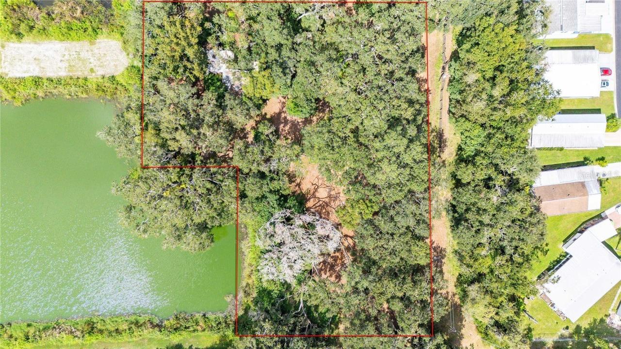 33933 Brumwell Dr., Wesley Chapel, FL 33543