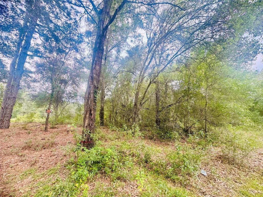 2203 Adams St., Inverness, FL 34453