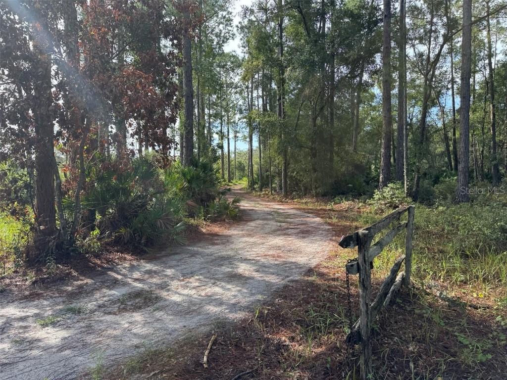 Wild Acres Tr., Paisley, FL 32767