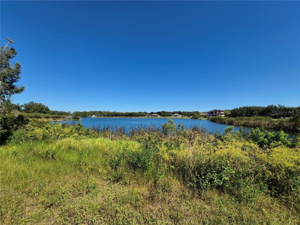 11 Trumpeter Ct., Odessa, FL 33556