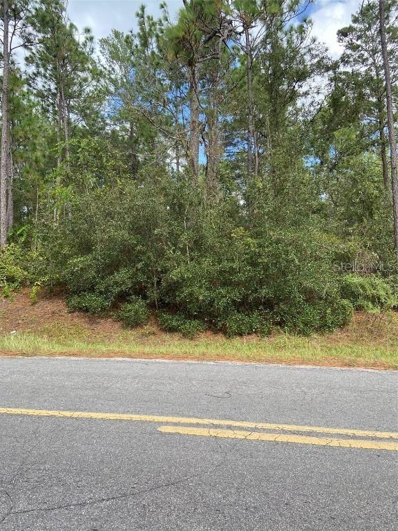 SW 155 St., Dunnellon, FL 34432