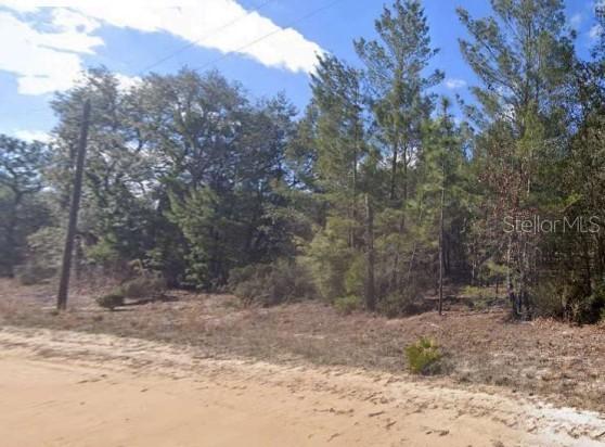 Unassigned Rd, Interlachen, FL 32148