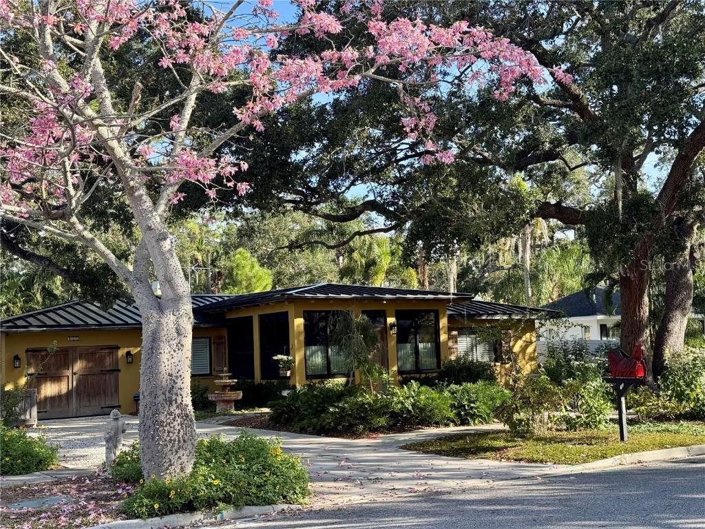 266 Lyndhurst St., Dunedin, FL 34698