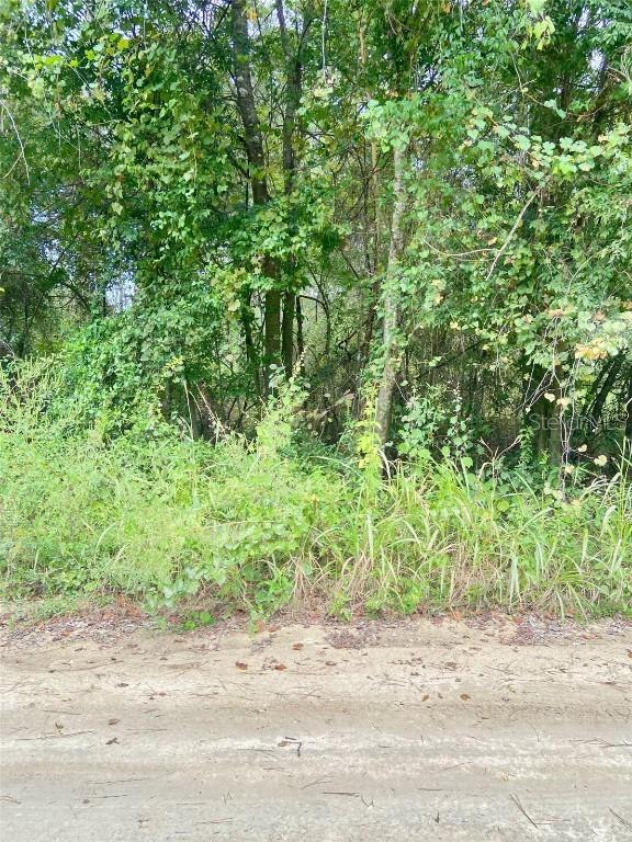 SW 8th Pl., Ocala, FL 34481