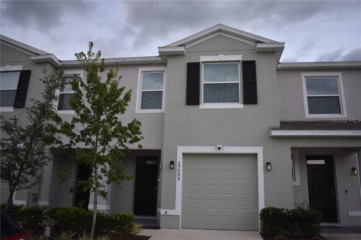 17202 Amber Aspen Way, Land O Lakes, FL 34638