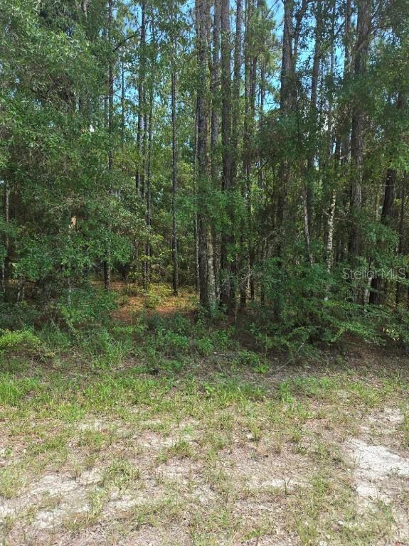 14126 Ricebird Ave., Brooksville, FL 34614