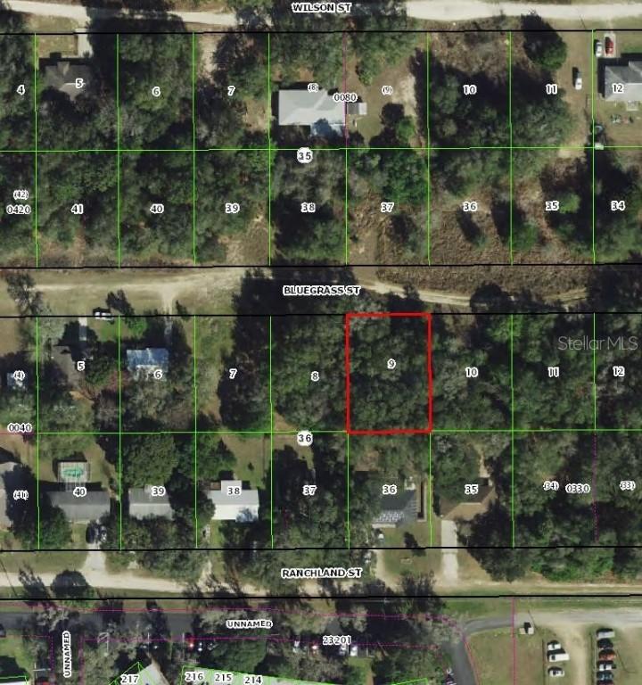 2407 Bluegrass St., Inverness, FL 34453