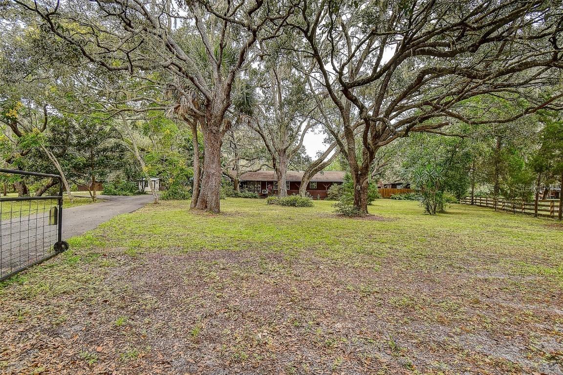 11231 Tenoaks Dr., Hudson, FL 34669