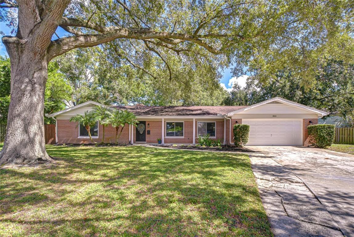 1901 Little Cove, Tampa, FL 33613