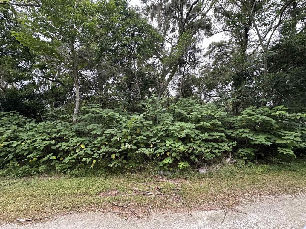 Jenkins Ave., Brooksville, FL 34604