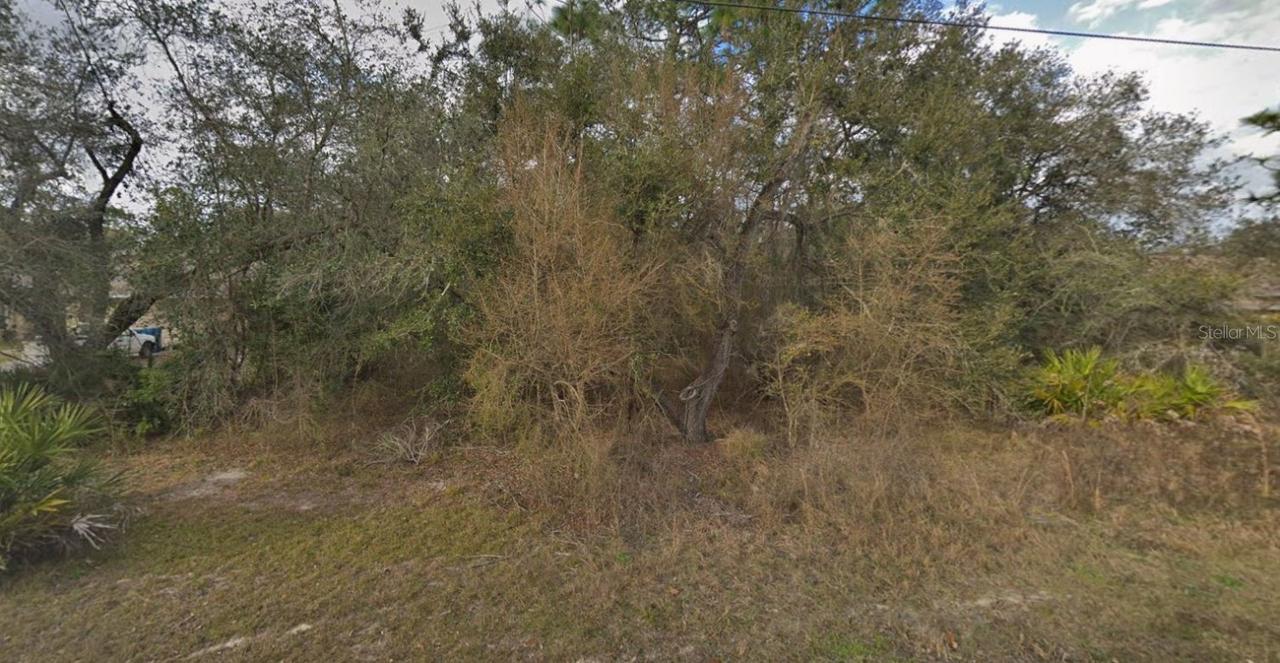 11405 Petrel Ave., Weeki Wachee, FL 34614
