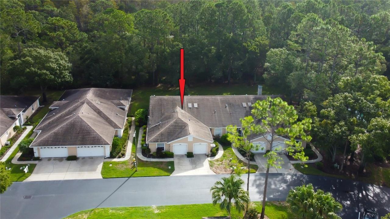 4409 Connery Ct., Palm Harbor, FL 34685
