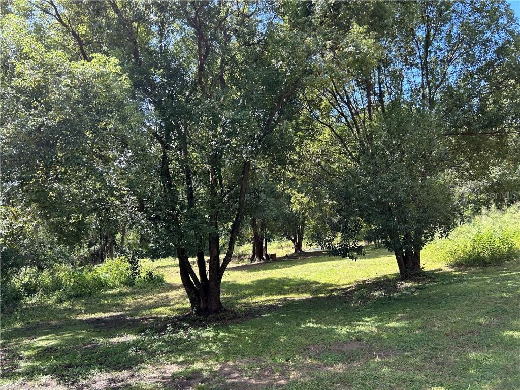 38116 Hamrich Dr., Dade City, FL 33525