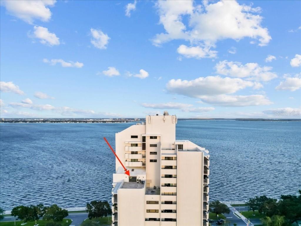 4141 Bayshore Blvd. #1701, Tampa, FL 33611
