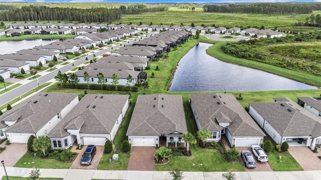 19865 Sea Glass Cir., Land O Lakes, FL 34638