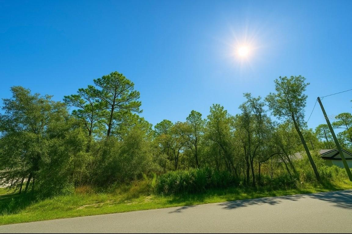 12036 Limpkin Rd, Weeki Wachee, FL 34614