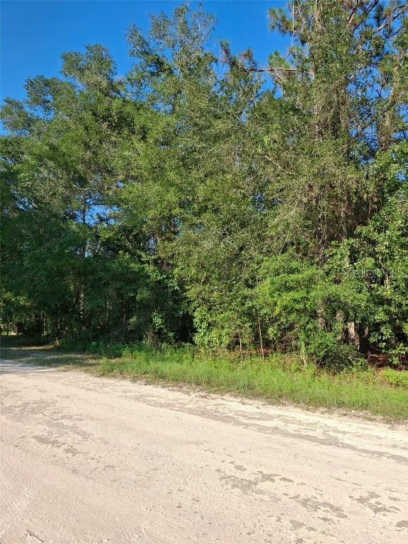 13378 Canyon Swallow Rd., Weeki Wachee, FL 34614