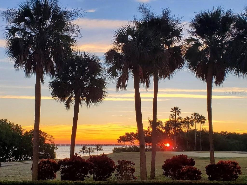 2616 Cove Cay Dr. #102, Clearwater, FL 33760