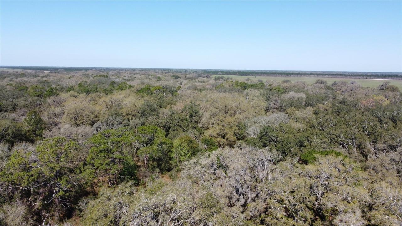 02 Unnamed, Spring Hill, FL 34610