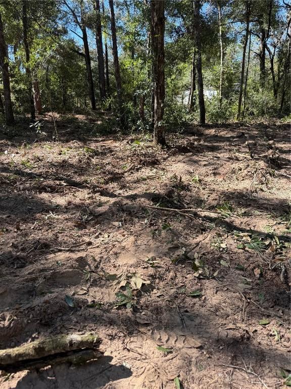 Remington Rd, Brooksville, FL 34602