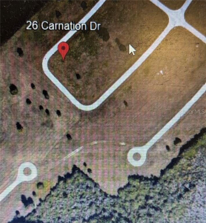 26 Carnation Dr., Placida, FL 33946