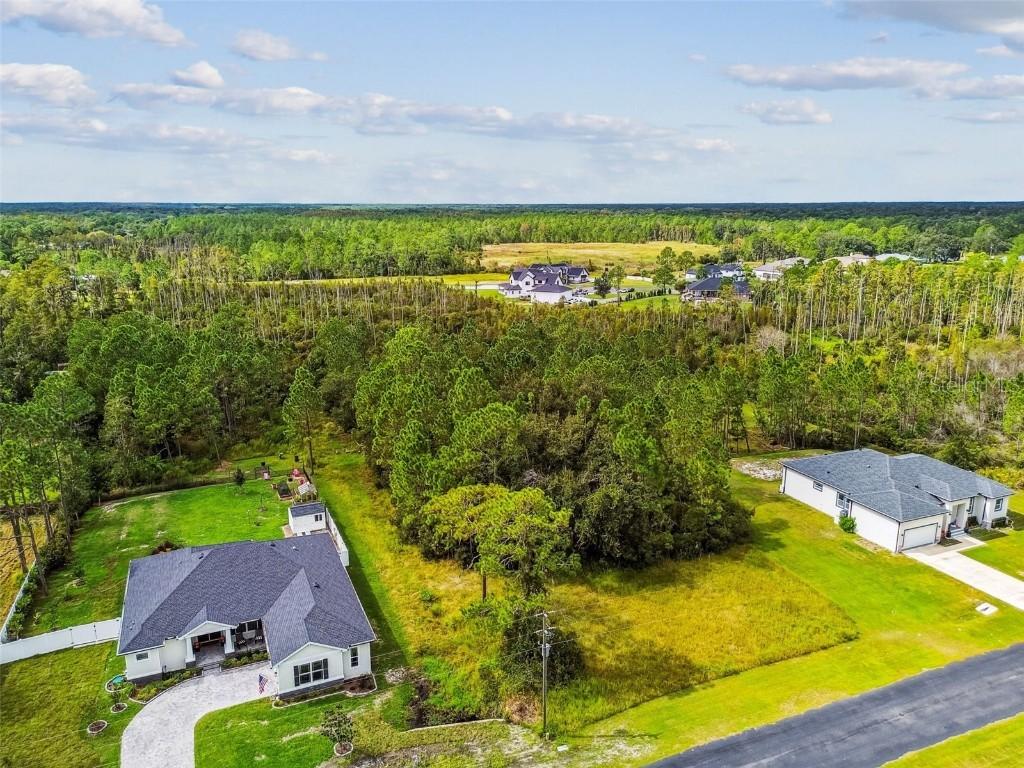 8017 Woodleaf Blvd., Wesley Chapel, FL 33544
