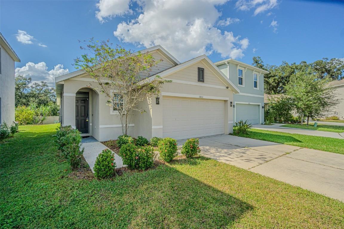 10853 Trailing Vine Dr., Tampa, FL 33610