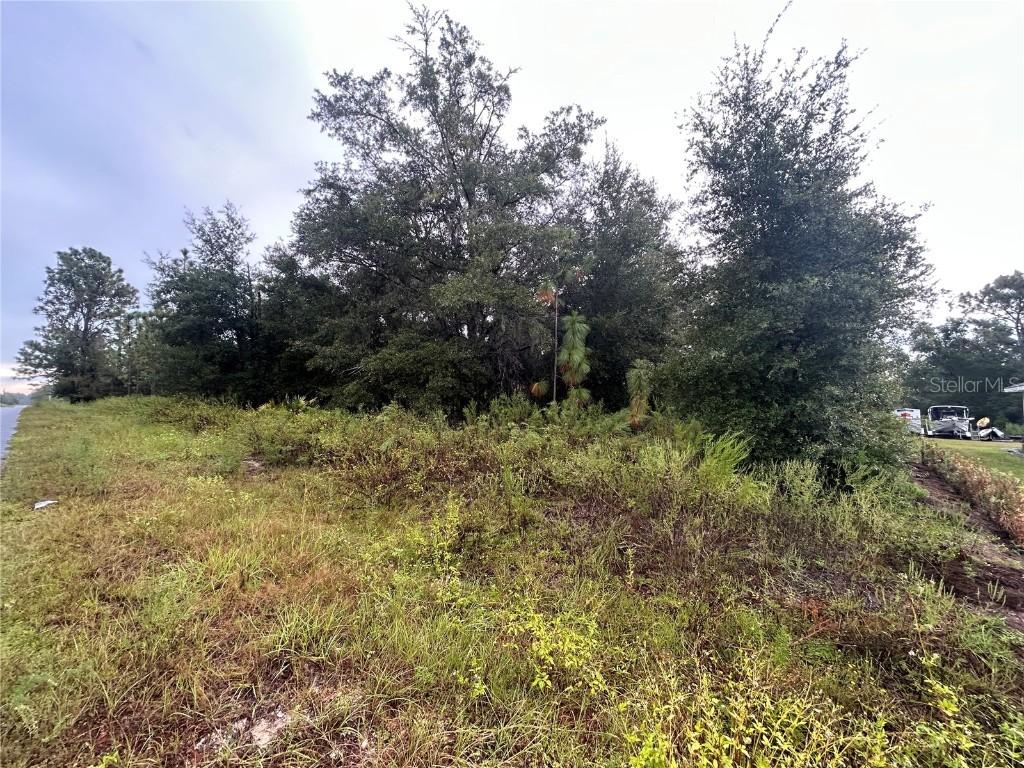 SW 140th Ct., Ocala, FL 34481