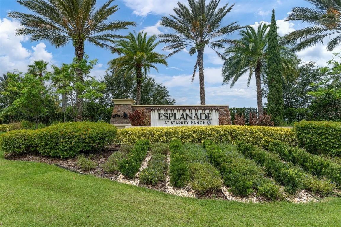 3239 Forsythia Dr., Odessa, FL 33556