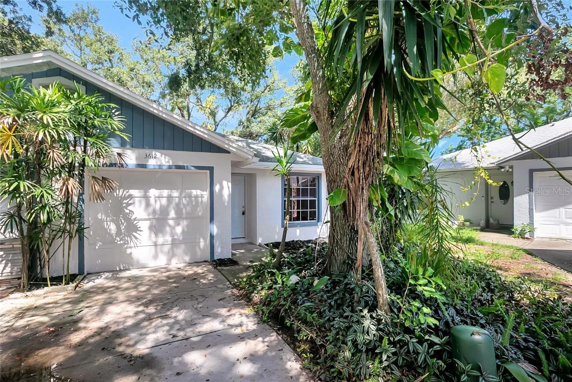 3612 Glenmac Ct., Palm Harbor, FL 34684