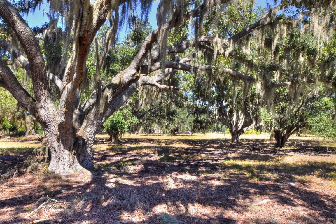 480 Moccasin Hollow Rd., Lithia, FL 33547