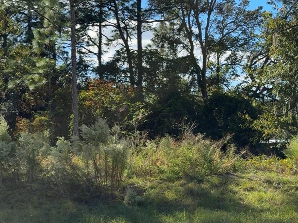 7800 N Primrose Dr., Citrus Springs, FL 34434