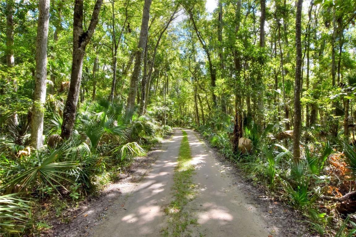Pine Island Dr., Weeki Wachee, FL 34613