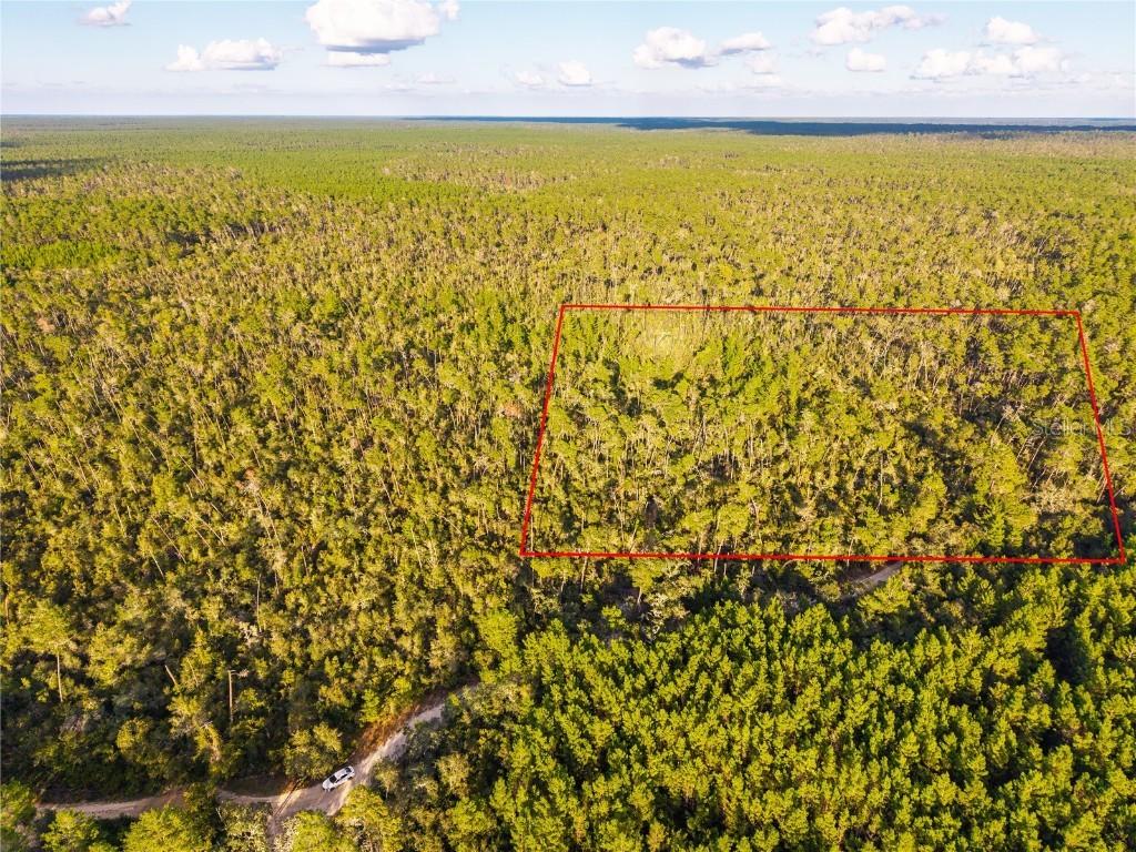 Nicatoon Retreat, Umatilla, FL 32784
