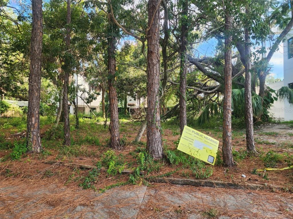 2318 W North B St., Tampa, FL 33609